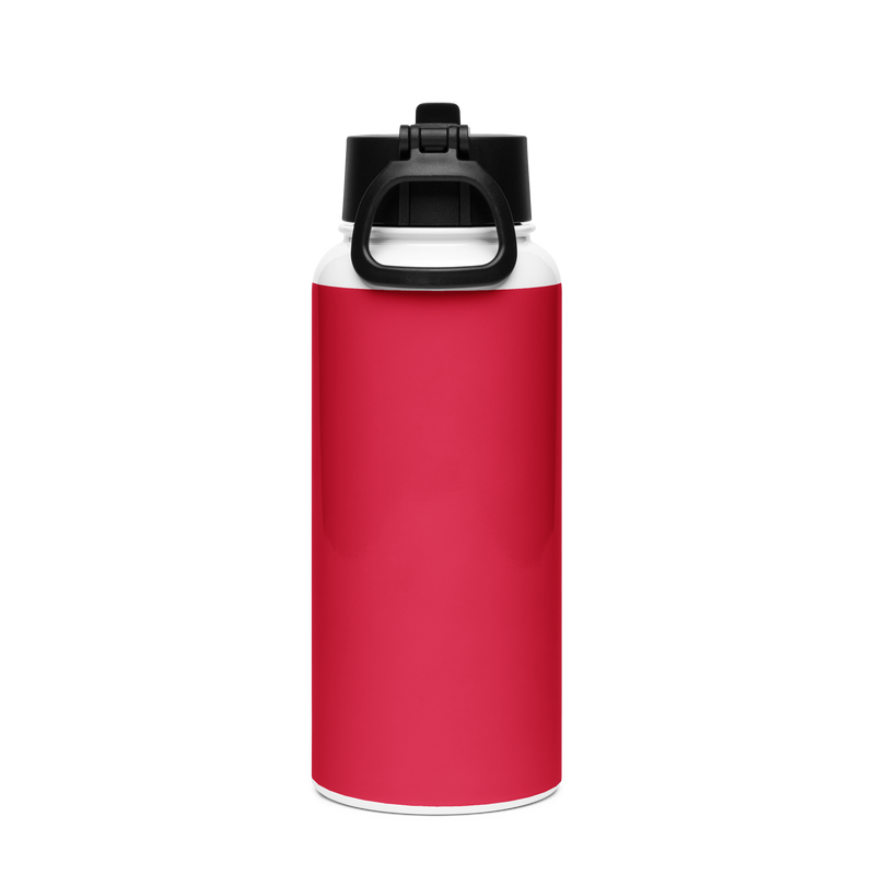 South Park Cartman Stainless Steel Water Bottle with a Straw Lid